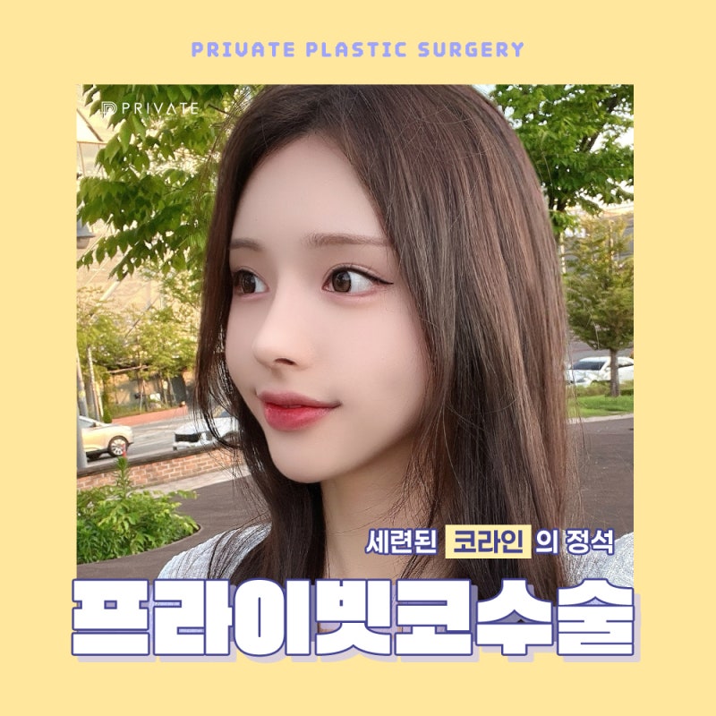 코성형수술잘하는곳은 신사프라이빗성형외과 사진 2