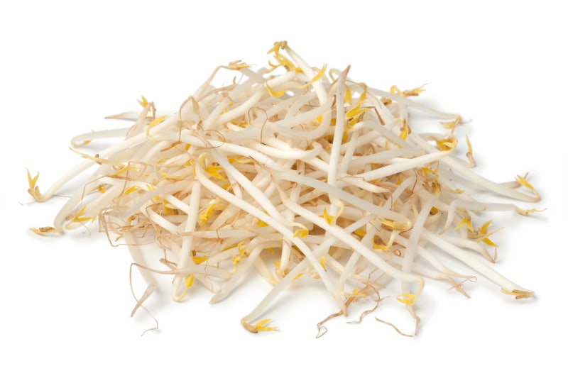 了解豆芽的優點 사진 3
