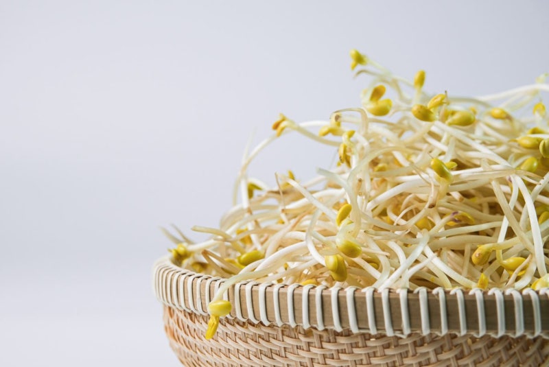 了解豆芽的優點 사진 4