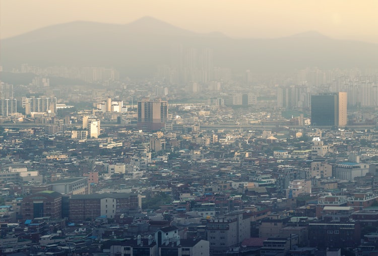 황사, 물과 함께 필요한 음식은?