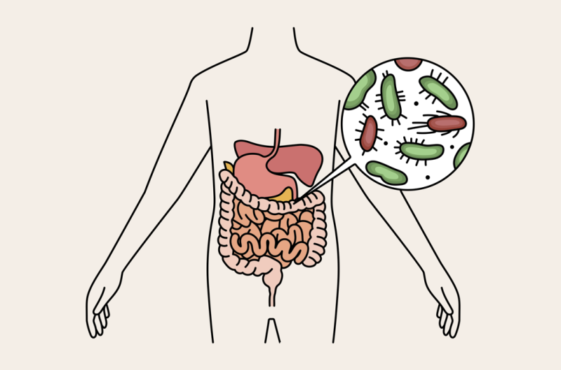 Mengenal 5 ‘Prebiotik’ yang Meningkatkan Imunitas dan Membantu Penurunan Berat Badan