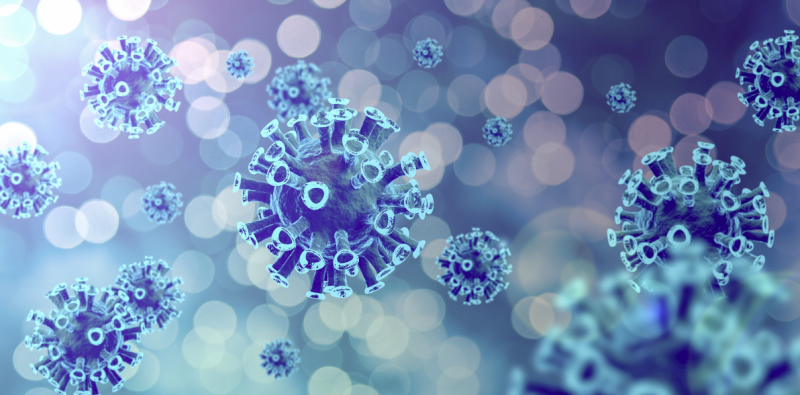 Mencegah Bakteri/Virus dalam Kehidupan Sehari-hari