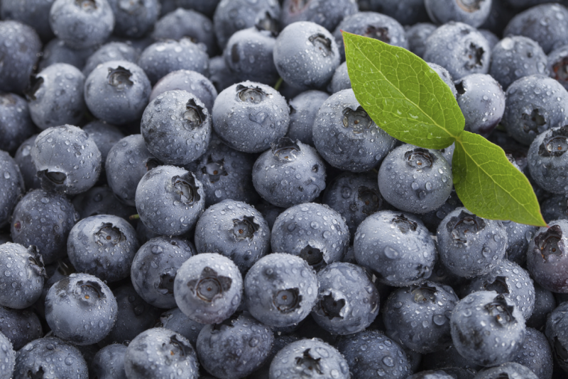 Mari Mengenal Minuman Penurun Kolesterol 사진 6