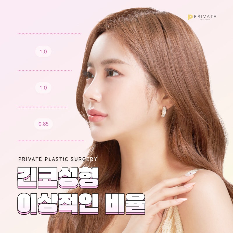 Tempat terbaik untuk operasi hidung panjang adalah Private Plastic Surgery di Sinsa 사진 5
