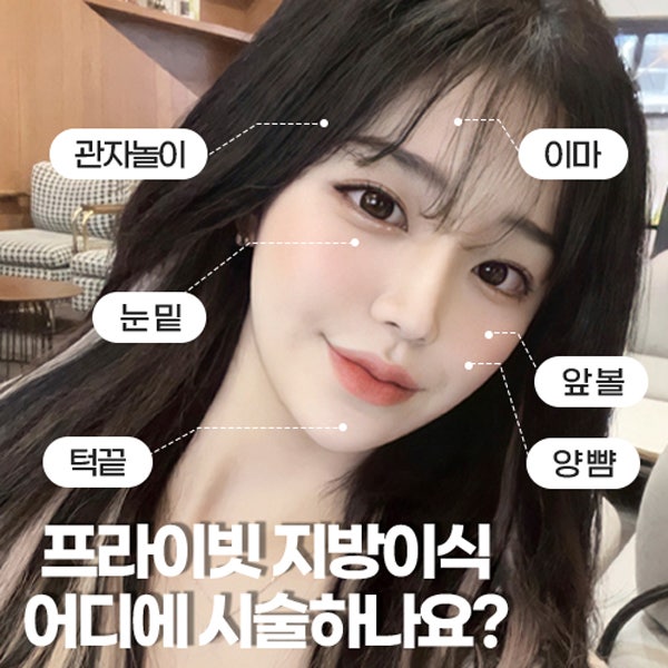 Tempat Terbaik untuk Transplantasi Lemak Wajah adalah Private Plastic Surgery di Stasiun Sinsa 사진 6