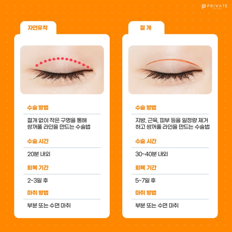 Private Plastic Surgery Clinic dengan Ulasan Sayatan Kelopak Mata Ganda yang Baik