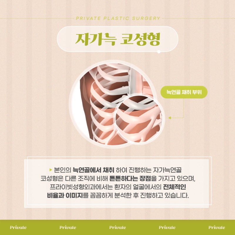 Operasi Hidung dengan Tulang Rawan Rusuk Sendiri, Cari Tahu di Private Plastic Surgery 사진 3
