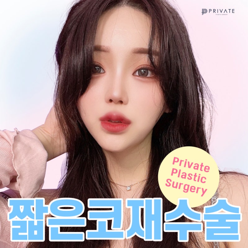 Tempat Terbaik untuk Operasi Revisi Hidung Pendek adalah Private Plastic Surgery 사진 2