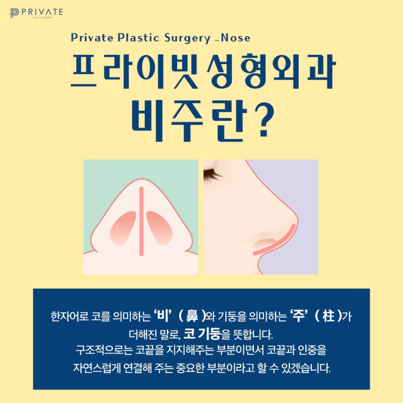 비주코성형수술은 신사 프라이빗성형외과
